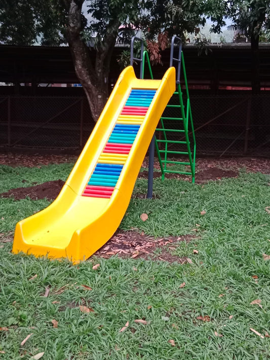 Deluxe Roller Slide